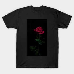 Single Red Rose T-Shirt